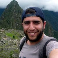 Отзыв от Максим - DTV виза